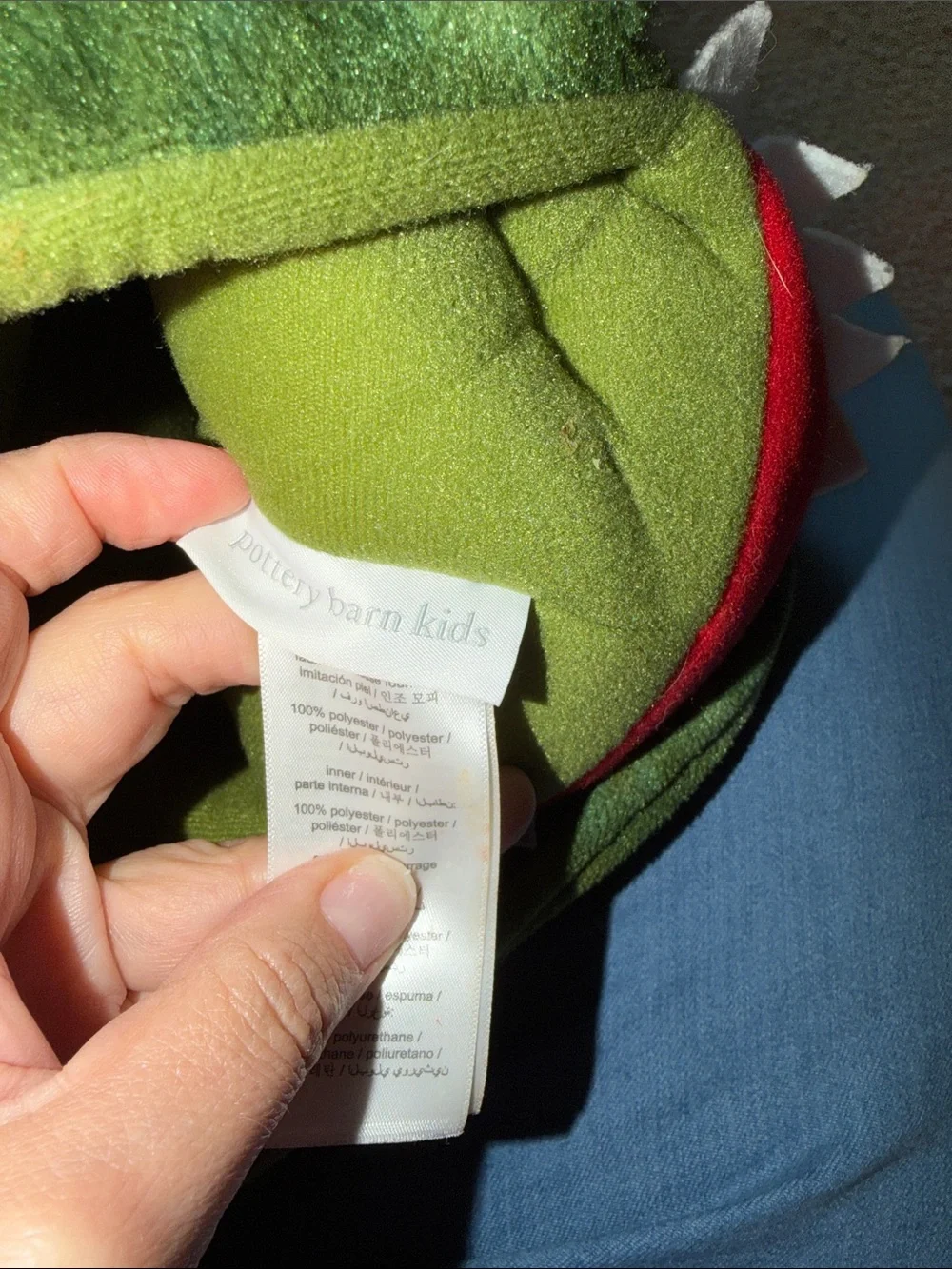 Pottery Barn Kids T. Rex Halloween Trick or Treating Bag